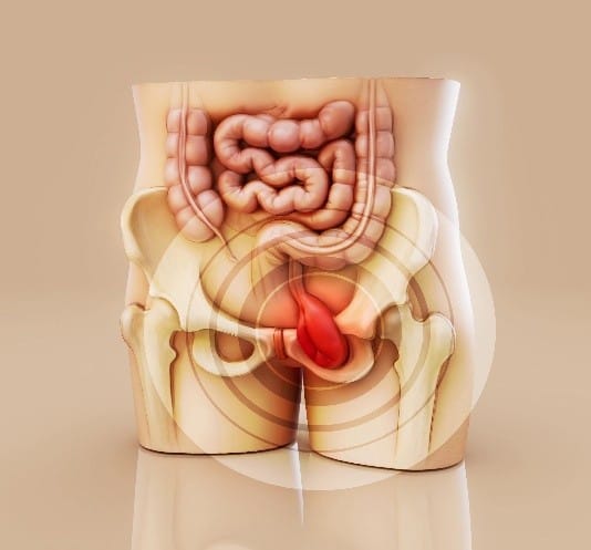 Picture3 | roma hospital Cross-section of an artery showing normal blood glucose with evenly distributed glucose molecules; on the right, high glucose level in diabetes with many glucose molecules visible.